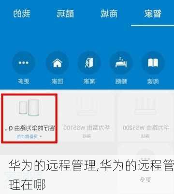 华为的远程管理,华为的远程管理在哪