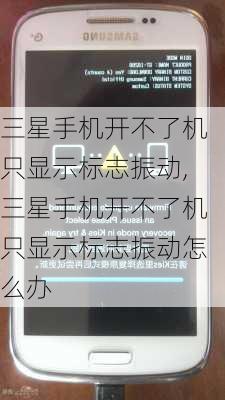 三星手机开不了机只显示标志振动,三星手机开不了机只显示标志振动怎么办