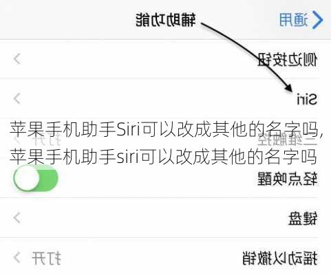 苹果手机助手Siri可以改成其他的名字吗,苹果手机助手siri可以改成其他的名字吗