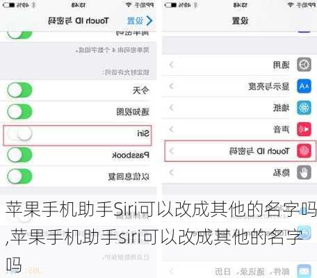 苹果手机助手Siri可以改成其他的名字吗,苹果手机助手siri可以改成其他的名字吗