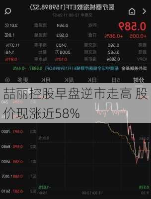 喆丽控股早盘逆市走高 股价现涨近58%