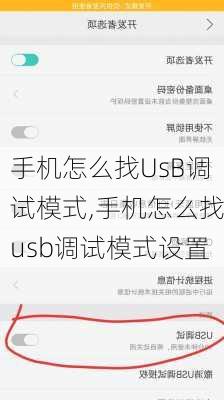 手机怎么找UsB调试模式,手机怎么找usb调试模式设置