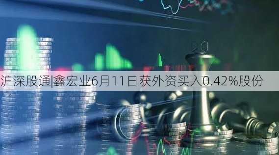 沪深股通|鑫宏业6月11日获外资买入0.42%股份