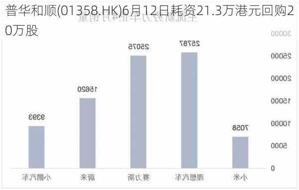 普华和顺(01358.HK)6月12日耗资21.3万港元回购20万股