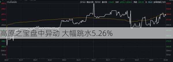 高原之宝盘中异动 大幅跳水5.26%