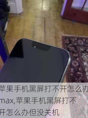 苹果手机黑屏打不开怎么办max,苹果手机黑屏打不开怎么办但没关机