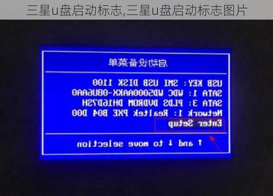 三星u盘启动标志,三星u盘启动标志图片