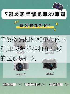 单反数码相机和单反的区别,单反数码相机和单反的区别是什么