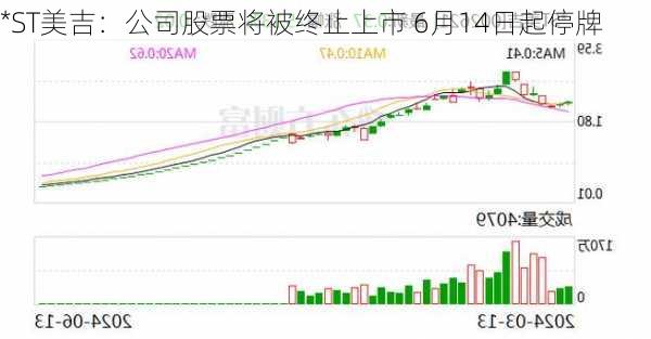 *ST美吉：公司股票将被终止上市 6月14日起停牌