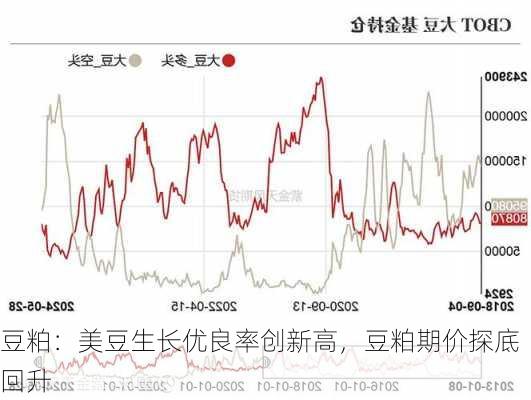 豆粕：美豆生长优良率创新高，豆粕期价探底回升