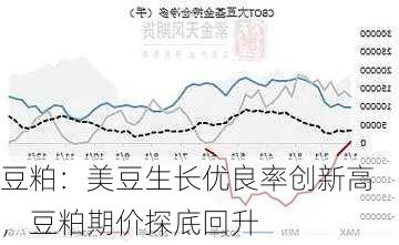 豆粕：美豆生长优良率创新高，豆粕期价探底回升