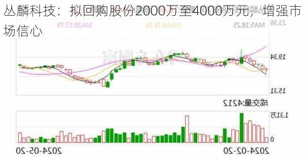 丛麟科技：拟回购股份2000万至4000万元，增强市场信心