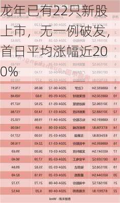 龙年已有22只新股上市，无一例破发，首日平均涨幅近200%