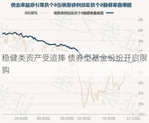 稳健类资产受追捧 债券型基金纷纷开启限购