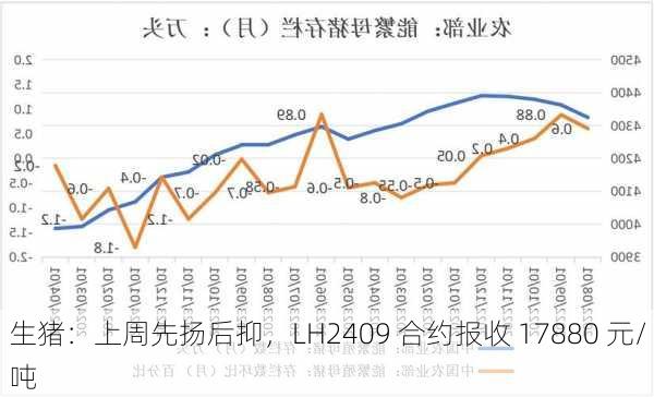 生猪：上周先扬后抑，LH2409 合约报收 17880 元/吨