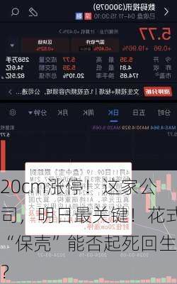 20cm涨停！这家公司，明日最关键！花式“保壳”能否起死回生？