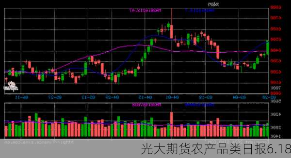 光大期货农产品类日报6.18