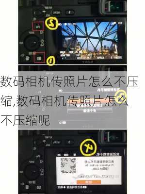 数码相机传照片怎么不压缩,数码相机传照片怎么不压缩呢