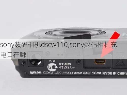 sony数码相机dscw110,sony数码相机充电口在哪