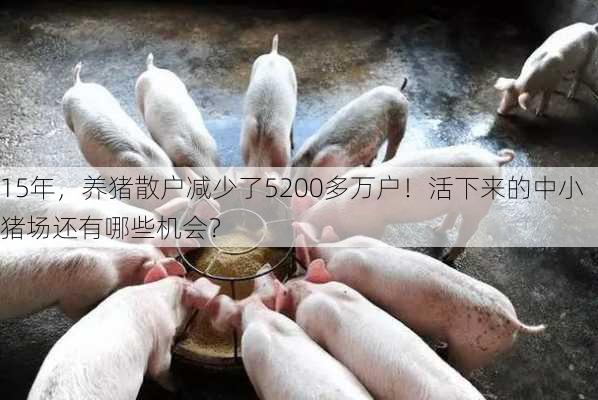 15年，养猪散户减少了5200多万户！活下来的中小猪场还有哪些机会？