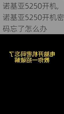 诺基亚5250开机,诺基亚5250开机密码忘了怎么办