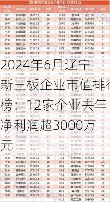 2024年6月辽宁新三板企业市值排行榜：12家企业去年净利润超3000万元