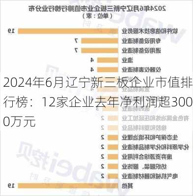 2024年6月辽宁新三板企业市值排行榜：12家企业去年净利润超3000万元