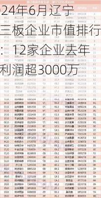 2024年6月辽宁新三板企业市值排行榜：12家企业去年净利润超3000万元