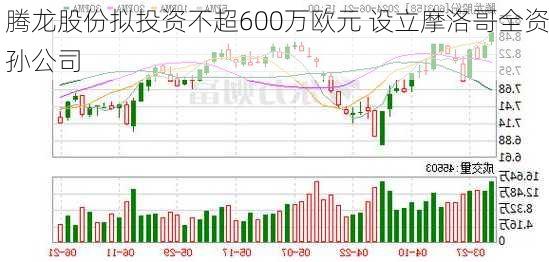 腾龙股份拟投资不超600万欧元 设立摩洛哥全资孙公司