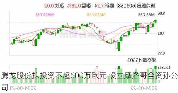 腾龙股份拟投资不超600万欧元 设立摩洛哥全资孙公司