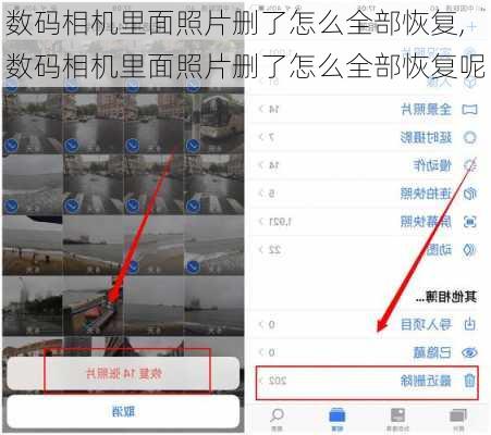 数码相机里面照片删了怎么全部恢复,数码相机里面照片删了怎么全部恢复呢