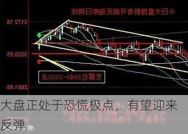 大盘正处于恐慌极点，有望迎来反弹