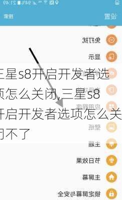 三星s8开启开发者选项怎么关闭,三星s8开启开发者选项怎么关闭不了