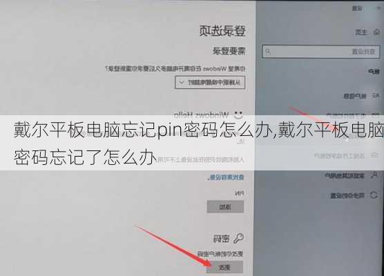 戴尔平板电脑忘记pin密码怎么办,戴尔平板电脑密码忘记了怎么办