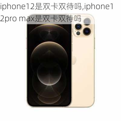 iphone12是双卡双待吗,iphone12pro max是双卡双待吗