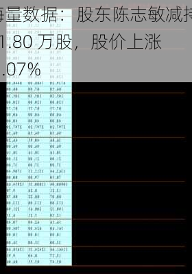 海量数据：股东陈志敏减持 61.80 万股，股价上涨 1.07%