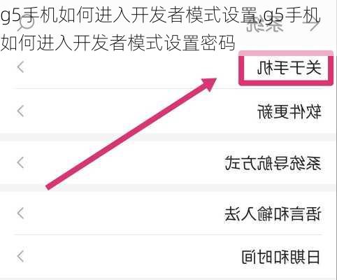g5手机如何进入开发者模式设置,g5手机如何进入开发者模式设置密码
