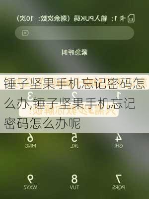 锤子坚果手机忘记密码怎么办,锤子坚果手机忘记密码怎么办呢