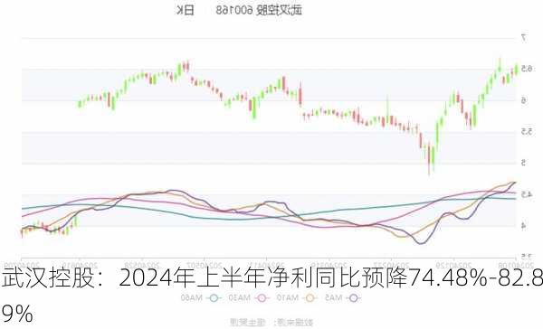 武汉控股：2024年上半年净利同比预降74.48%-82.89%