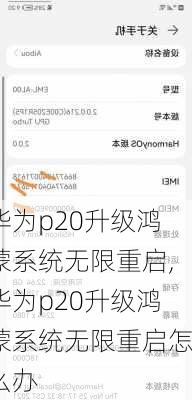 华为p20升级鸿蒙系统无限重启,华为p20升级鸿蒙系统无限重启怎么办