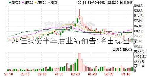 湘佳股份半年度业绩预告:将出现扭亏