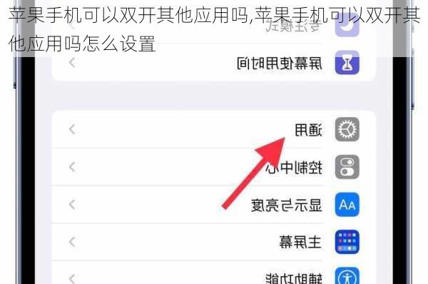 苹果手机可以双开其他应用吗,苹果手机可以双开其他应用吗怎么设置