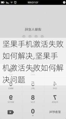 坚果手机激活失败如何解决,坚果手机激活失败如何解决问题