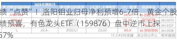 业绩“点赞”！洛阳钼业归母净利预增6-7倍，黄金个股业绩预喜，有色龙头ETF（159876）盘中逆市上探1.57%