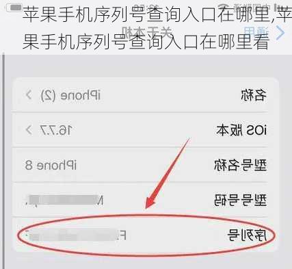 苹果手机序列号查询入口在哪里,苹果手机序列号查询入口在哪里看