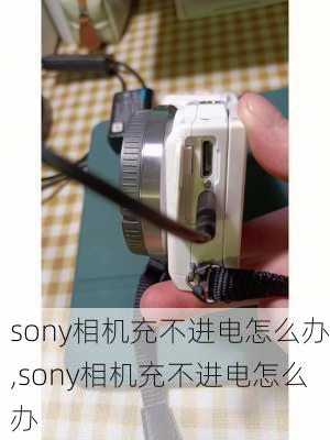 sony相机充不进电怎么办,sony相机充不进电怎么办