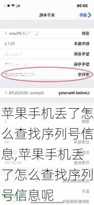 苹果手机丢了怎么查找序列号信息,苹果手机丢了怎么查找序列号信息呢