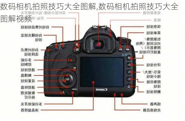 数码相机拍照技巧大全图解,数码相机拍照技巧大全图解视频