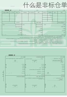 什么是非标仓单