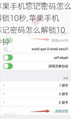 苹果手机忘记密码怎么解锁10秒,苹果手机忘记密码怎么解锁10秒钟